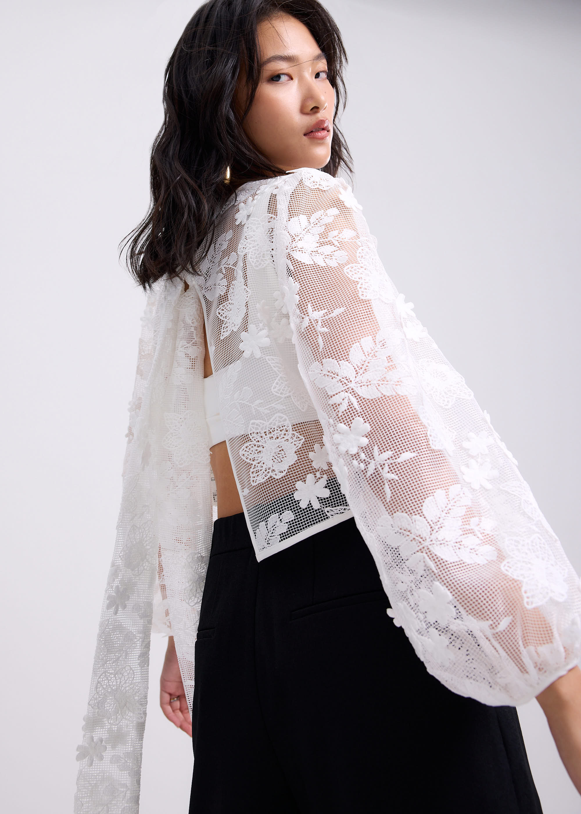 

Lace Embroidery Puff Sleeve Crop Blouse